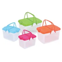 Small Plastic Basket with Lid, Charming Design