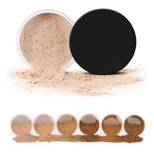 Eigenmarke langlebiges Öl Kontrolle gesicht lose Einstellung Pulver Make-up 6 Farben wasserdicht mineral-Zutat mit Sifter