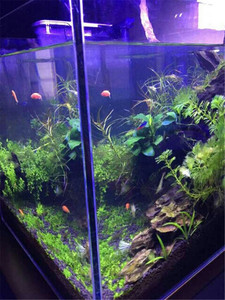 Oem Randloze Laag Ijzeren Glazen <span class=keywords><strong>Aquarium</strong></span> Landschapsarchitectuur <span class=keywords><strong>Aquarium</strong></span> - Product Image 2