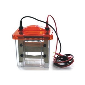 MINI Verticale Gel Elettroforesi Serbatoio - Product Image 3