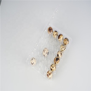 Wholesale Plastic blister quail egg packing box quail egg tray