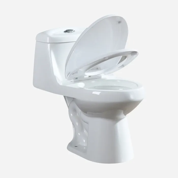 中国衛生陶器インテリジェントトイレ、スマートトイレトイレ、バスルームセラミックスマートトイレシートR028