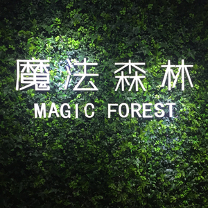 2019 Nuovo Disegno di Tipo di Colore Misto Fioriera Verticale Parete Verde Artificiale Verde Della Parete per La <span class=keywords><strong>Casa</strong></span> Giardino Balcone Decorazione - Product Image 3