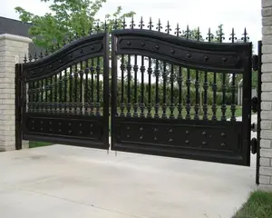 luxury iron gate design