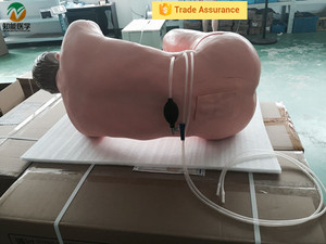 BIX-CK811 <span class=keywords><strong>Scienza</strong></span> Medica Puntura Lombare Modello di <span class=keywords><strong>Formazione</strong></span> - Product Image 2