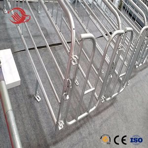 Il tubo d'acciaio della fabbrica ha usato il <span class=keywords><strong>recinto</strong></span> del <span class=keywords><strong>maiale</strong></span> dell'attrezzatura agricola delle scrofe della cassa di parto del <span class=keywords><strong>maiale</strong></span> - Product Image 6