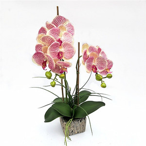 <strong>Wholesale</strong> 11 <strong>Flower</strong> Heard Artificial <strong>Silk</strong> <strong>Flowers</strong> <strong>Orchid</strong> in Pot Customized Color Bonsai Real Touch <strong>Orchid</strong> for Home Decoration