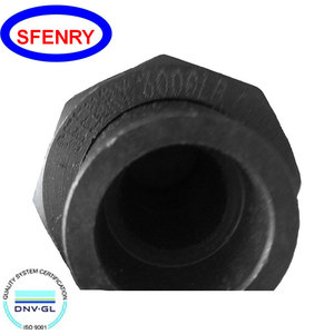 Sfenry ASME B16.11 3000 LB Thép Carbon A105 Nữ <span class=keywords><strong>NPT</strong></span> <span class=keywords><strong>Threaded</strong></span> Ống Phụ Kiện Liên Minh - Product Image 2