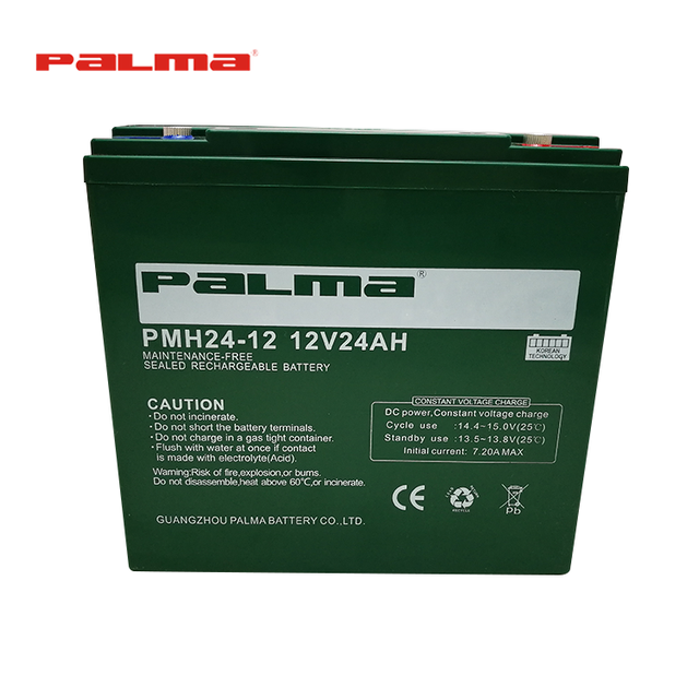 Factory Wholesale Price Custom Electric Bike Battery 24V 24AH Deep Cycle Sealed Gel Golf Carts Lighting Electric Wheelchairs UPS