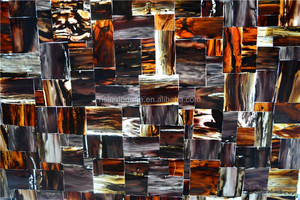 Bois pétrifié dessus de table à vendre - Product Image 3
