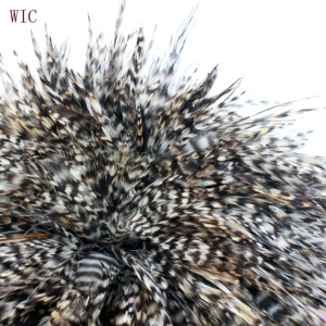 2018 giá rẻ Trung Quốc bán buôn quần áo con gà trống lông đẹp trai chùm lông - Product Image 6