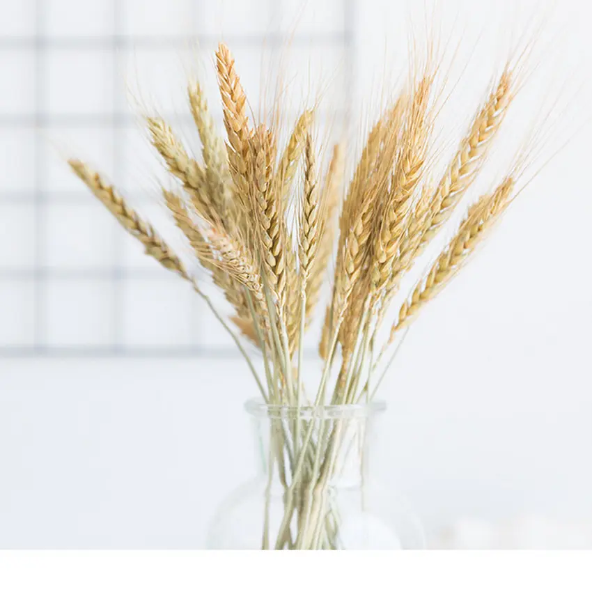 Las plantas decoración Artificial Dires flor Natural puro espiga de trigo