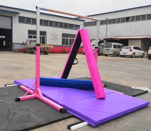 Hoàn Chỉnh Tập Thể Dục Tập Trên Bán Có Thể Điều Chỉnh Thể Dục Thanh Chùm Mat-Các Nóng Nhất Thể Thao & Giải Trí Sản Phẩm - Product Image 2