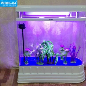 Hailiy lujo ecológico grande tubo vertical <span class=keywords><strong>acuario</strong></span> Acrílico - Product Image 2