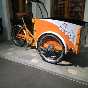 Vélo électrique à 3 roues pour adulte, Tricycle danois 200-250W, pédales d'assistance, en cuir - Product Image 2