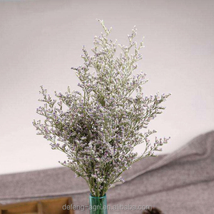 Flor de <span class=keywords><strong>Limonium</strong></span> StaticesinuateL Seca Natural a Precio de Mayoreo - Product Image 6