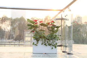 Design classico auto-irrigazione scatola <span class=keywords><strong>di</strong></span> piante da giardino esterno decorazione vaso con ombrello da Golf per il pavimento in bagno - Product Image 4