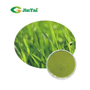 High Quality Pure Green Barley Grass Powder