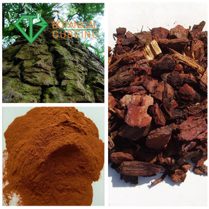 Écorce de <span class=keywords><strong>pin</strong></span> naturelle botanique en vrac, proanthocyanidines 95% OPC, extrait de poudre d'écorce de <span class=keywords><strong>pin</strong></span> français - Product Image 6