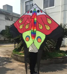 High Quality Color Outdoor Sport Nylon 3D Sport Artificial Paper Kite