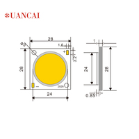 Alta potencia 50W 36V COB LED Chip Rectángulo Forma Bridgelux Chip 20W 30W 40W Versiones disponibles