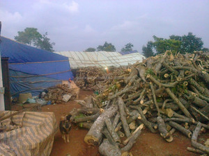 ถ่านเนื้อแข็งสีดำถ่านธรรมชาติสำหรับย่างบาร์บีคิวแบบ100% - Product Image 3