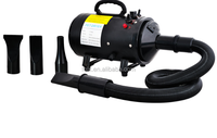 Tondeuse électrique personnalisée 2400W avec lames, souffleur pour chien, en fer noir et plastique, réglage de l'air et de la température, écologique, 6 heures d'autonomie
