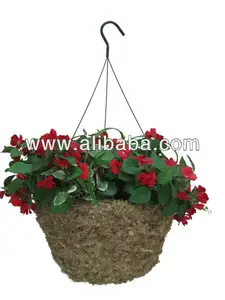 Sphagnum moss hanging basket - Green Moss planter