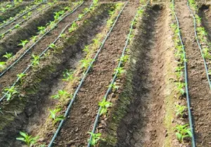 Tubo de irrigação agrícola, durável, preço de fábrica, 16mm, diâmetro interno, gotejador