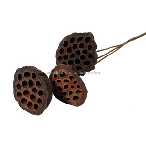 Fiori e Piante Essiccate all'Ingrosso per Decorazioni Domestiche, Ideali per Lauree e Halloween, Inclusi Viburnum e Baccelli di Loto Essiccati - Product Image 5