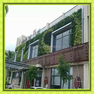 surtidor de China al por mayor decoración del jardín <span class=keywords><strong>pared</strong></span> planta artificial verde artificial <span class=keywords><strong>pared</strong></span>/jardín de la <span class=keywords><strong>pared</strong></span> <span class=keywords><strong>vertical</strong></span> - Product Image 5