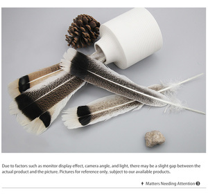 Lô hàng nhanh chóng 12-14 inch (30-35 cm) bán buôn Chất lượng cao rửa hoa văn đuôi gà tây lông chúng tôi Xuất xứ xinyuling thương hiệu - Product Image 6