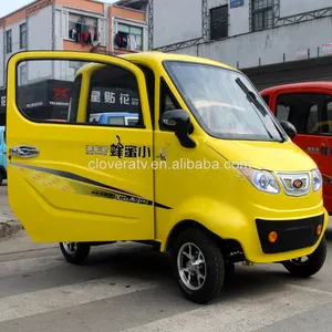 Chinese Cheap Price Electric Powered Mini Car 1000W 60V Electric VehicleとSteering Wheel