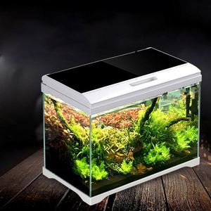 ガラス製フィッシュボウルHD水族館小型水槽カスタマイズ可能 - Product Image 6