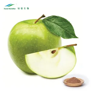 Groene Appel Sap Poeder, Apple Thee Poeder, Apple Pectine Poeder