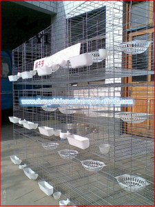 Gabbia per Allevamento Piccioni Zincata a Caldo, Miglior Vendita - Product Image 3