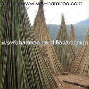 Persediaan Taman/Tiang Bambu Potongan/Tiang Bambu Hijau