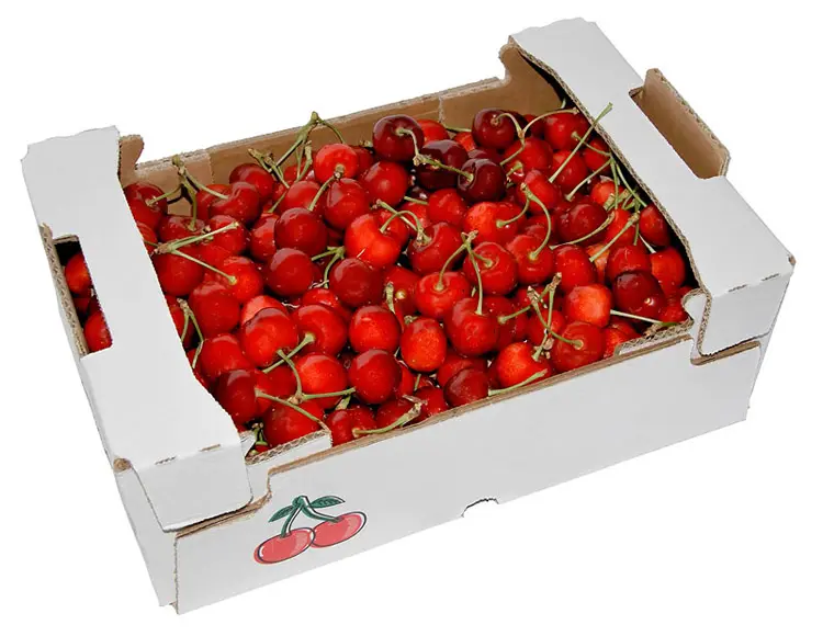 Logo personalizzato stampato scatola di cartone ondulato scatola di frutta scatola di imballaggio rettangolo Xiang Yi 5000 pezzi ambientale accetta CN;FUJ