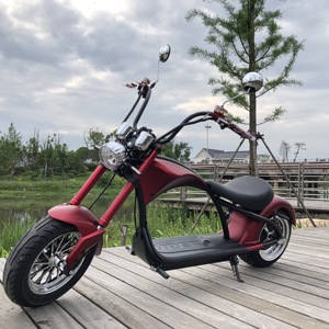 Entrepôt européen, meilleures ventes <span class=keywords><strong>Alibaba</strong></span>, produits électroniques chinois en gros, vélo électrique 1000w - Product Image 2