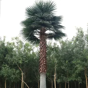 India Anti-uv Fireproof Outdoor Decorative Artificial Date Washingtonia Palm Tree