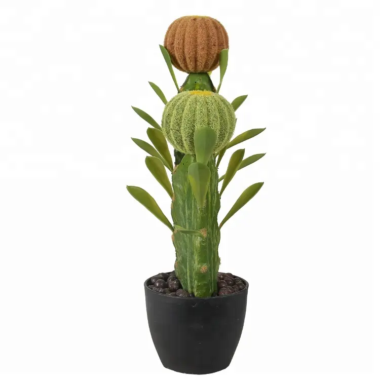 Conception indépendante 65cm plante de Cactus décoration intérieure plante de Cactus acheter en ligne plante de Cactus