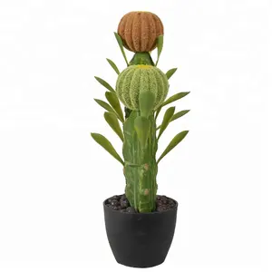 Кактусовое растение 65 см с независимым дизайном, внутреннее украшение, кактусовое растение, купить онлайн кактусовое растение