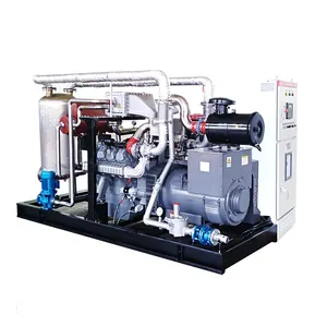 200kW 250kvA biomassa gas/syngas/hout gas genset