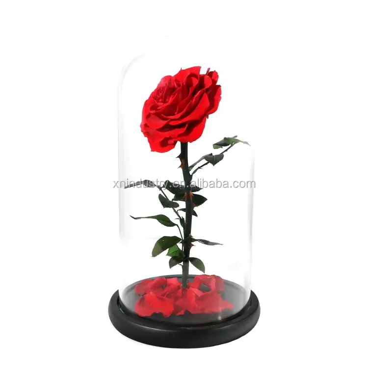 Wedding flower decoration valentine forever eternal rose flower miss preserved roses with stem preserved roses in glass