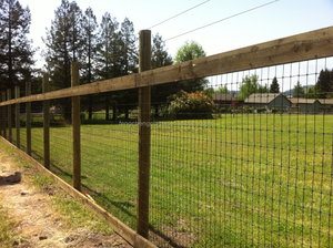 Jaring Peternakan Siput/Jaring BOP Plastik, Pagar Burung Anti/Jaring Tahi Lalat - Product Image 6