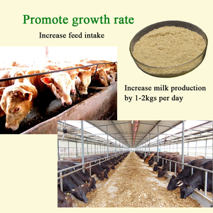 Merangsang Pertumbuhan Sapi dan Domba - Product Image 3