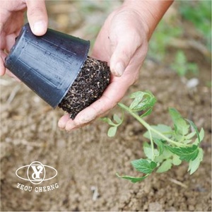 Macetas de vivero transparentes reutilizables Contenedores de plántulas de jardín duraderos para interiores y exteriores - Product Image 2