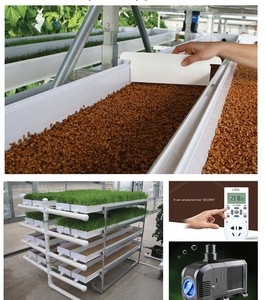 Veevoer alfalfa hydrocultuur plant systeem hidroponia en tubos de pvc - Product Image 4