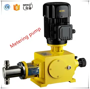 Hoge Druk Positon Plunger Metering Pump Mechanische Membraandoseerpomp Doseerpomp