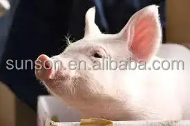 Grado di alimentazione glucosio ossidasi enzima oxidoreducasi rimozione della muffa per enzimi additivi per mangimi animali - Product Image 5